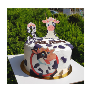 עוגות יום הולדת מעוצבות בנשר